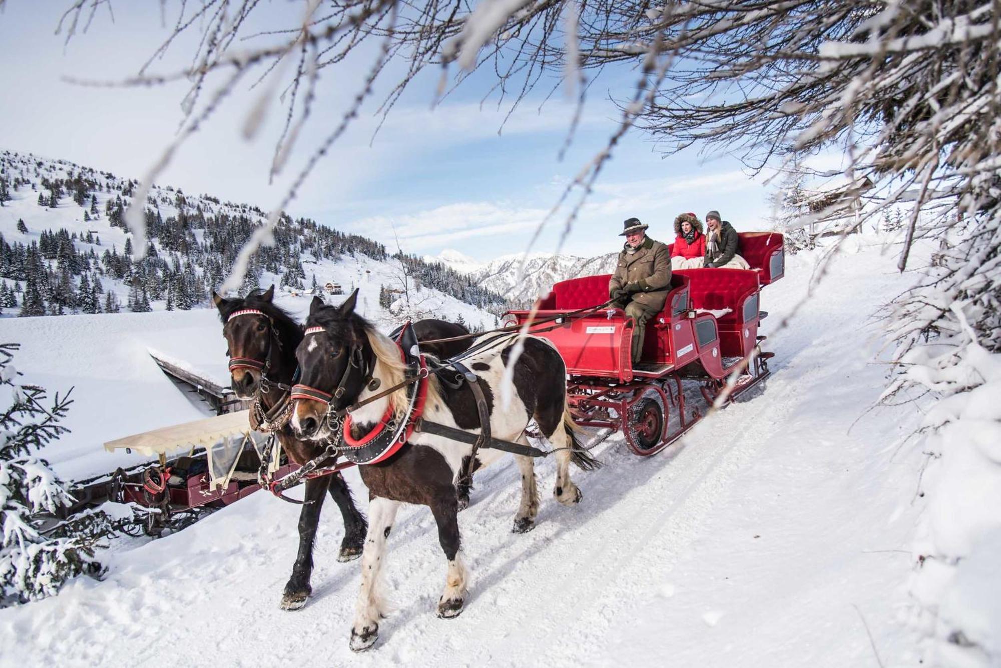 Alpenparks & Carpe Solem